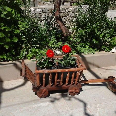 Guesthouse Familija Tariba Супетарска-Драга Экстерьер фото