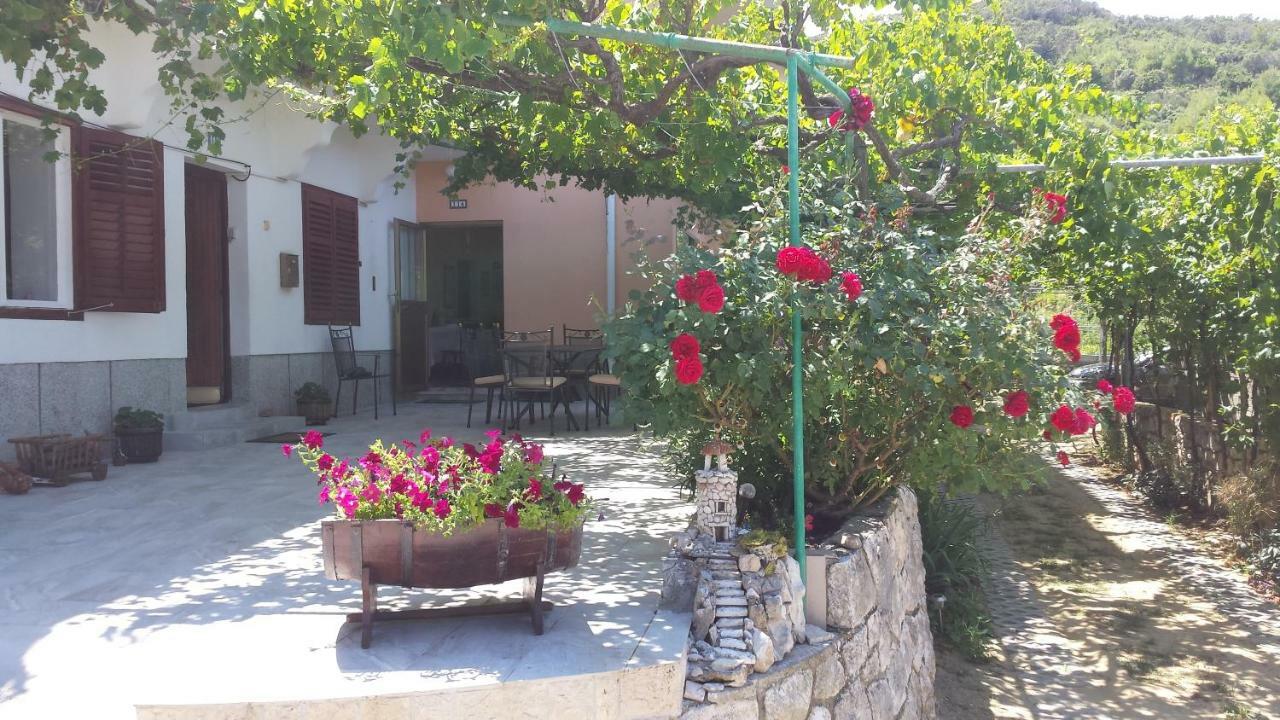 Guesthouse Familija Tariba Супетарска-Драга Экстерьер фото