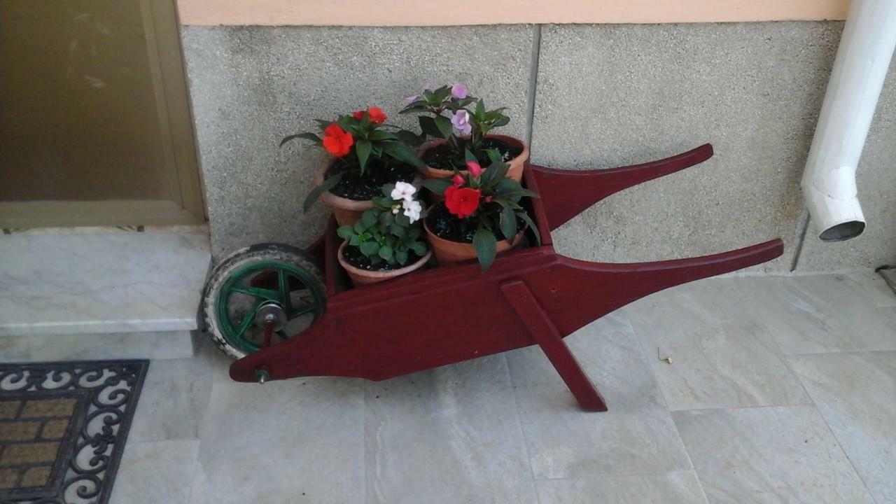 Guesthouse Familija Tariba Супетарска-Драга Экстерьер фото